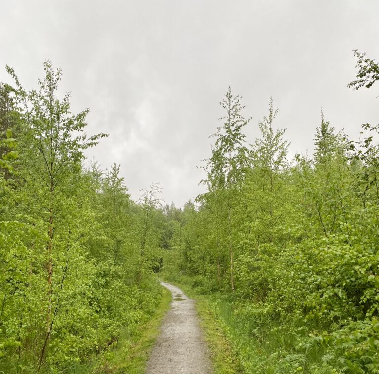 Mikä määrittää, kuka meistä menestyy?