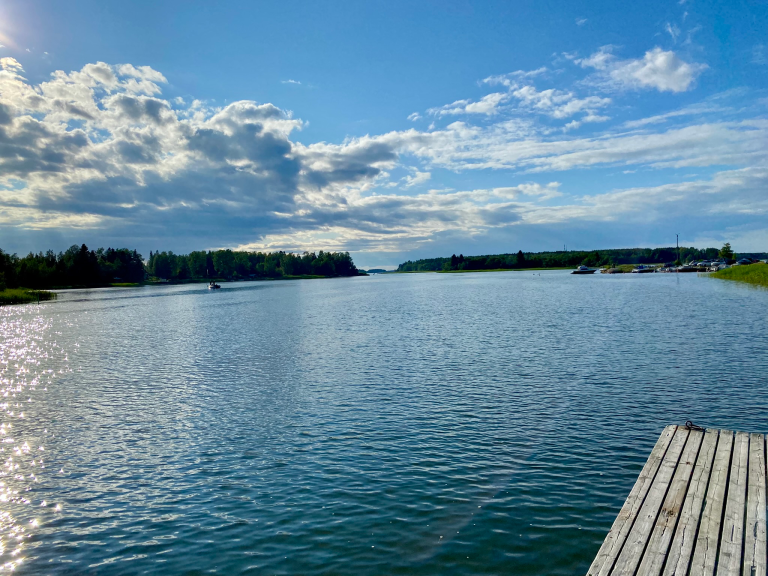 Puhti on lääkäri- ja hoitajakammoisen unelma