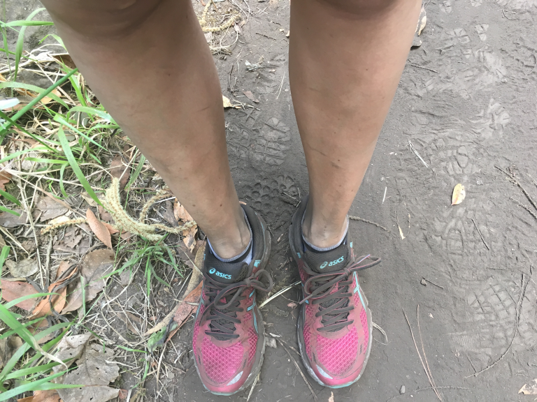 Syysloman varaaminen – kyllä vastustaa!