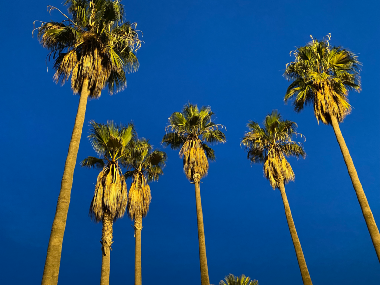 Mitä tapahtuu, jos kaikki on jo saavutettu?